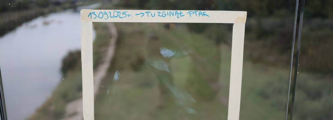 Ślad ptaka odbity na szybie barierki Mostu Berdychowskiego